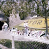 Disneyland Storybook photo, 1950s