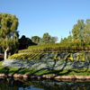 Disneyland Storybook Land, Monstro the Whale photo, January 2011