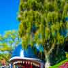 Monstro the Whale at Storybook Land, February 2013