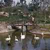 Disneyland Sleeping Beauty Castle moat before the Well installation, 1955/56