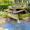 Disneyland Pixie Hollow January 2008