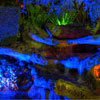 Disneyland Pixie Hollow photo, May 2012