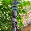 Disneyland Enchanted Tiki Room Courtyard December 2016