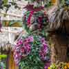 Disneyland Enchanted Tiki Room Courtyard December 2016