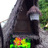 Enchanted Tiki Room Courtyard, October 2010