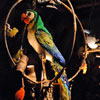 Enchanted Tiki Room show July 2011