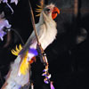 Enchanted Tiki Room show July 2011