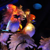 Enchanted Tiki Room show July 2011