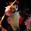 Enchanted Tiki Room show July 2011