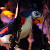 Enchanted Tiki Room show July 2011