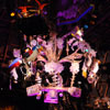 Enchanted Tiki Room show July 2011