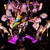 Enchanted Tiki Room December 2009