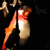 Enchanted Tiki Room Interior, January 2009