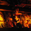 Enchanted Tiki Room Interior, January 2009