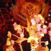 Disneyland Tiki Room Interior March 1975