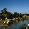 Tom Sawyer Island fishing pier, 1956