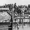 Tom Sawyer Island fishing pier March 4, 1959