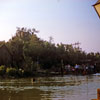 Tom Sawyer Island Old Mill August 1958