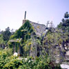 Disneyland Tom Sawyer Island Old Mill August 1959