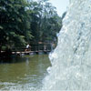 Disneyland Tom Sawyer Island, June 1966 photo