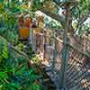 Disneyland Tarzan's Treehouse photo, January 2015