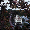 Swiss Family Robinson Treehouse  June 1969