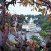 Swiss Family Robinson Treehouse  June 1969