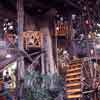 Disneyland Swiss Family Robinson Treehouse February 1971