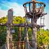 Disneyland Treehouse February 2007