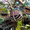 Disneyland Treehouse May 2007