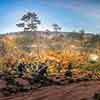 Cyclorama exhibit, Atlanta History Center, October 2023