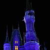 Cinderella Castle at Walt Disney World January 2010