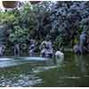 Disneyland Jungle Cruise Elephant bathing pool, June 1968