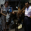 Knotts Berry Farm photo, May 1958