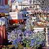 Disneyland Flower Market West Center Street, July 1966