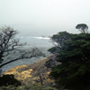 Monterey California photo, July 1970