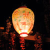 Blue Bayou Restaurant in New Orleans Square, September 2008