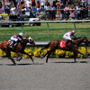 Del Mar Race Track August 2010