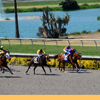 Del Mar Race Track August 2010