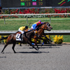 Del Mar Race Track August 2010