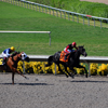 Del Mar Race Track August 2010