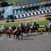 Del Mar Race Track August 2010