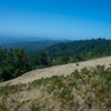 Armstrong Redwoods State Natural Reserve photo, July 2013